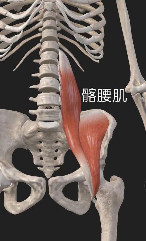卡里克：库尼亚髋屈肌不适，伤情不重但无法出战布伦特福德